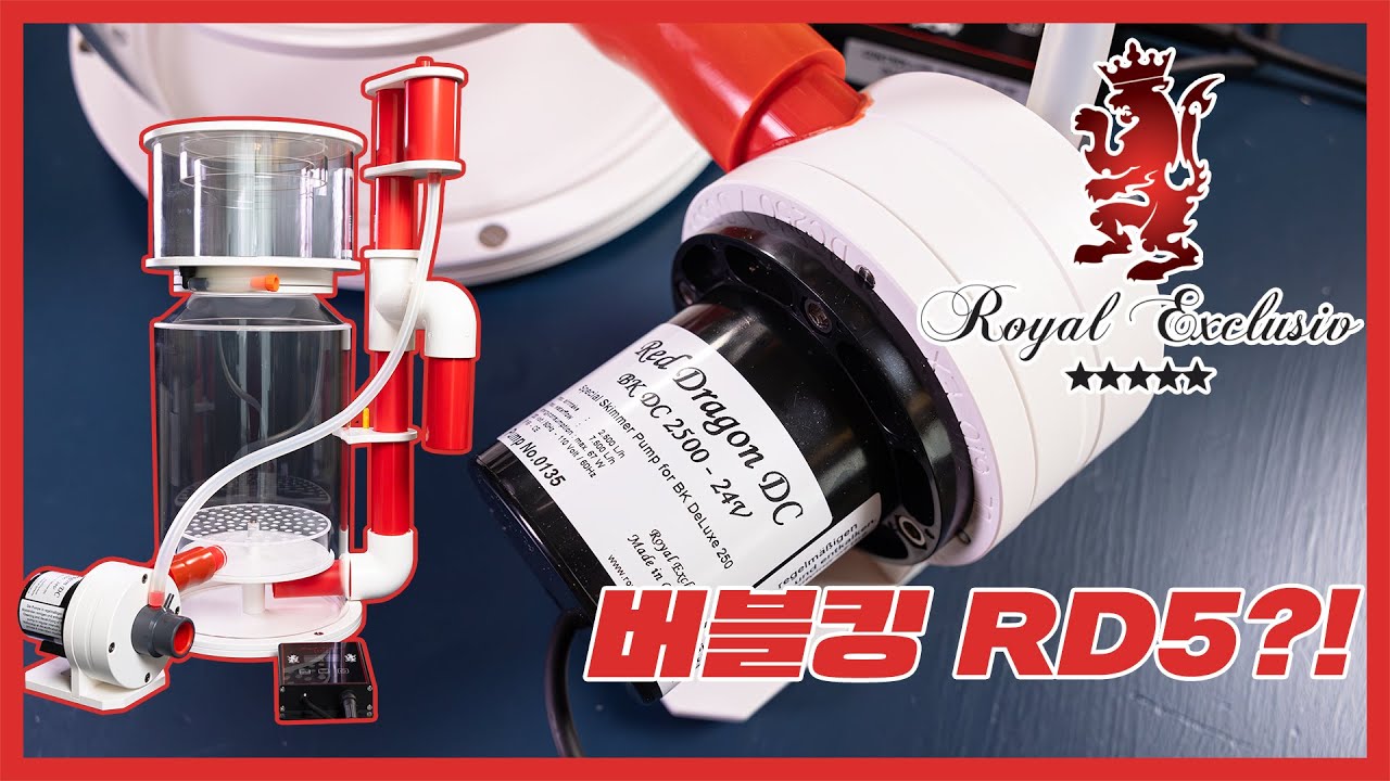 버블킹 RD5? - 마린코스트에서 새로운 버블킹 RD5를 만나실 수 있습니다 - YouTube