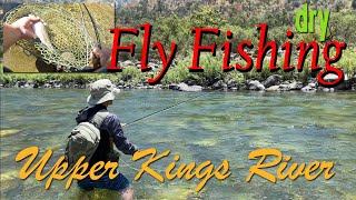 Fly Fishing at Kings River, Upper Wild Trout Section