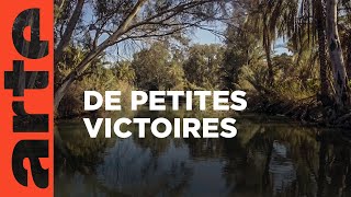 L'eau | Bonnes nouvelles de la planète | ARTE