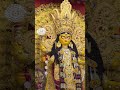 jagadhatri puja ft. shyambazar shyampark #2025 #shorts #youtubeshorts #puja #kolkata #north #vlog