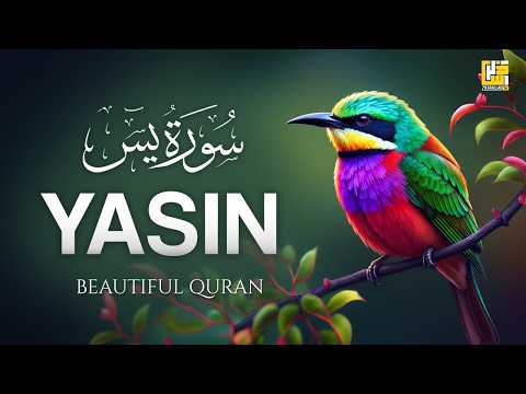 Surah Yaseen (سورة يس) | Relaxing Lofi Quran for Deep Sleep & Soul Peace #lofiquran