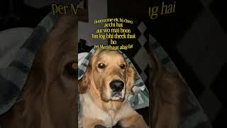 Mein🤧😁#faketweet #funny #trending #memes #aesthetic #sarcastic #relatable #comedy #ytshorts #shorts