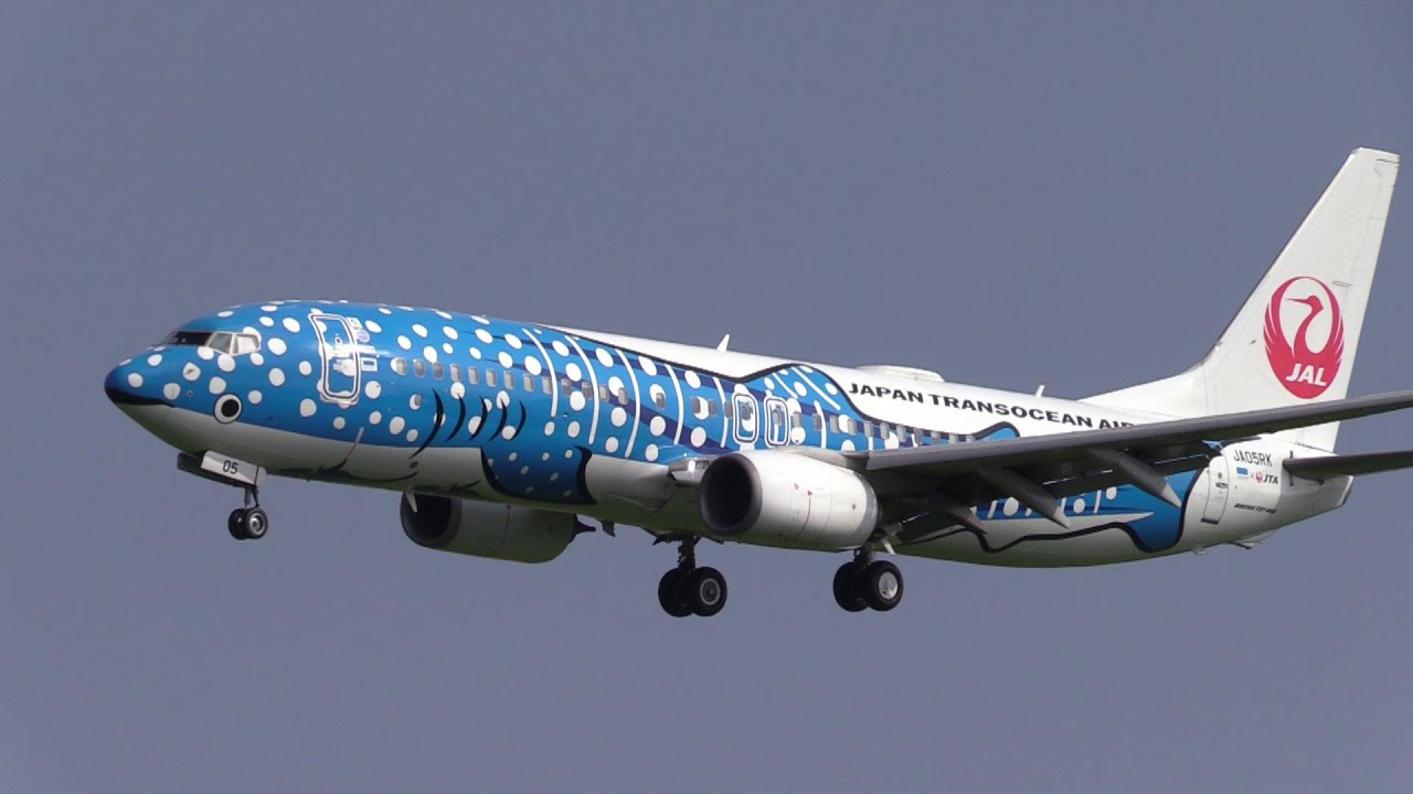 24/08/14 宮古空港 日本トランスオーシャン航空 JTA Boeing 737-800