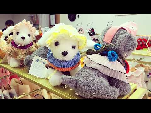 황금동애견 수성구애견 더도그샵