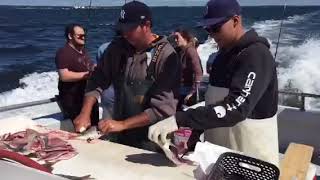 Sound Bound Fishing Charters