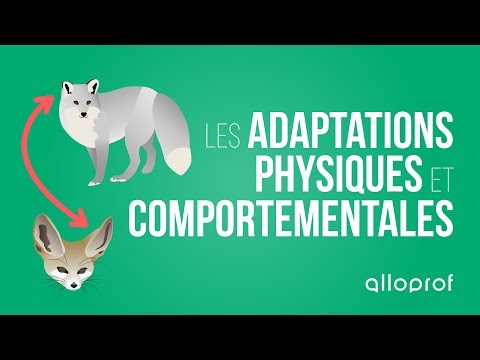 Les adaptations physiques et comportementales | Sciences | Alloprof
