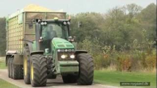 1. Dag Af Majshøst På Nygaard 2011, Med Jaguar 960 Finsnitter Corn Harvest.