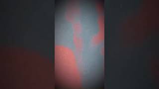 Mary Jane - Mevsim Bahar