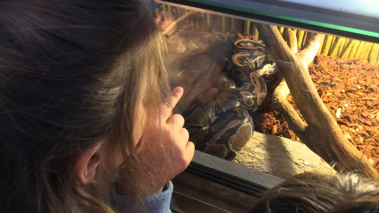 Mały Chór Wielkich Serc - 2014.05.01 - SANDOMIERZ (HD)