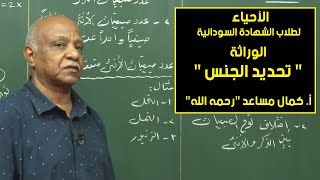 الأحياء | الوراثة - تحديد الجنس | أ. كمال مساعد 