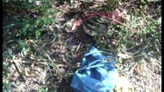 イノシシと勘違い 湖南省公務員 農婦を射殺 20141116