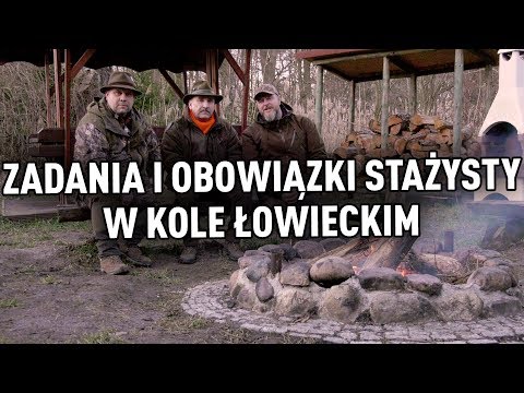 Wideo: Czy pf ma zastosowanie dla stażystów?