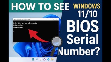 How to Find BIOS Serial Number in Windows 11/10 | Quick & Easy Tutorial