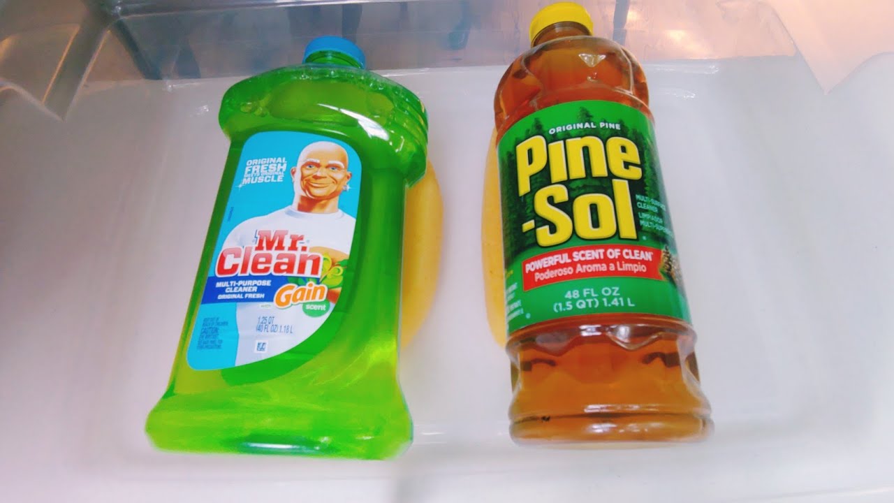 Satisfying Mr.Clean + Original Old Formula Pine Sol💚 - YouTube