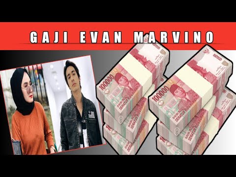 Video: Evan Williams Kekayaan Bersih: Wiki, Menikah, Keluarga, Pernikahan, Gaji, Saudara