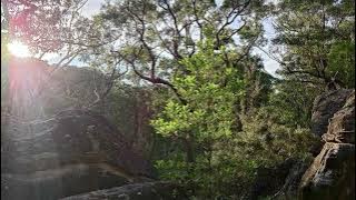 It's a Lovely Day Today (Ella Fitzgerald)//cover