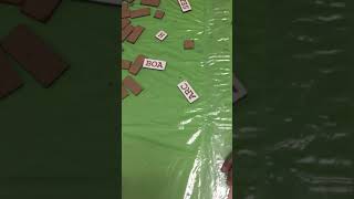 Playing FourSight Literacy Word Game screenshot 1