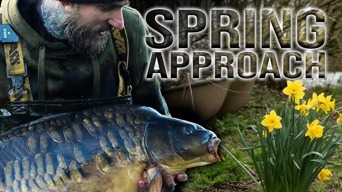 PRO-STIM LIVER BOILIE RANGE IS HERE 😍 Top Tips to Catch You More Carp! 🔥  