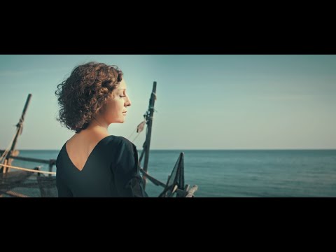 Pınar Seyhun - Kuşlar Aldı