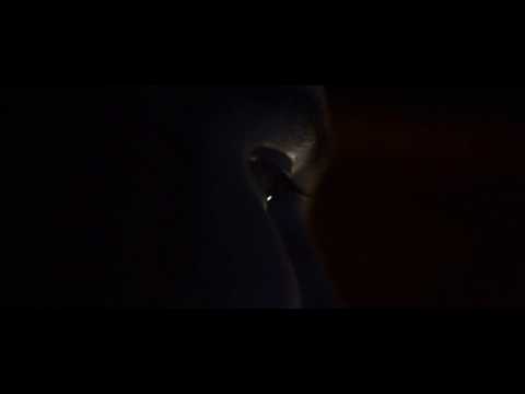 Cinematic // Programming
