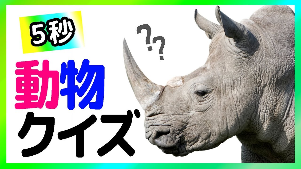 動物クイズ どんな動物かわかるかな New Level 1 2 3 Youtube