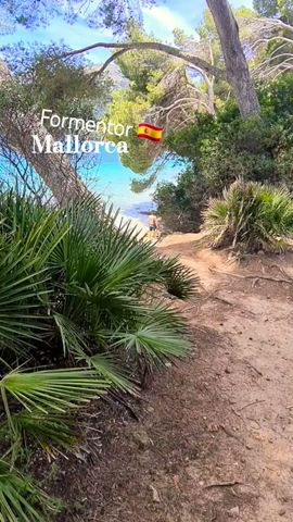 Mallorca 🇪🇸 Pollensa ⛱️ Formentor beach 🏖