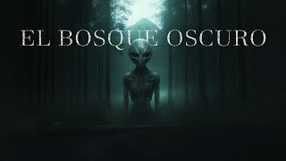 El Bosque Oscuro y La Paradoja de Fermi