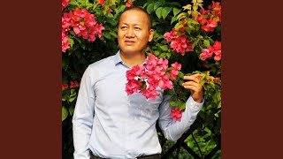 我太难了