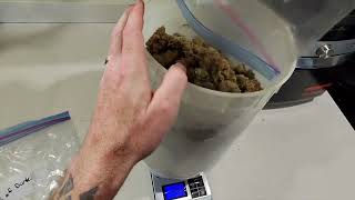@7eastgenetics Freaks Of Dank FINAL WEIGHT