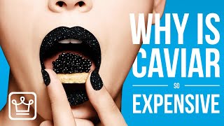 Why is CAVIAR so Expensive?
