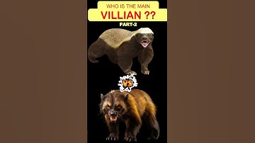 Is WOLVERINE