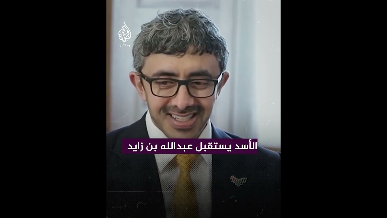 الرئيس السوري يستقبل وزير خارجية الإمارات في دمشق