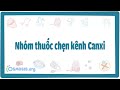 Nhm thuc chn knh canxi