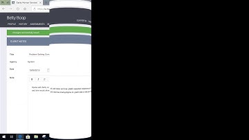 Adding a Problem Solving Note in HMIS