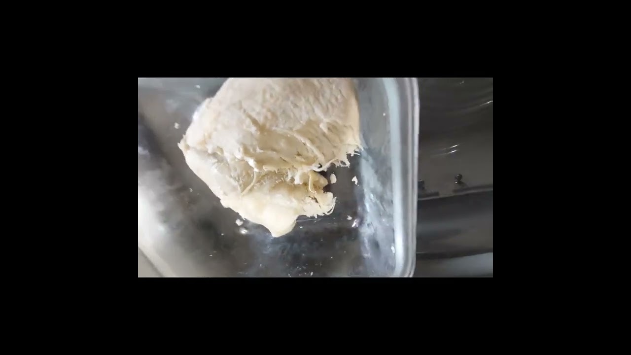 January/8/2026 , the troublemaker, المشاغب 