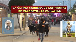 Valdestillas (Va). Último Encierro. &quot;Fiestas del Milagro y S. Isidro, 14/5/2023