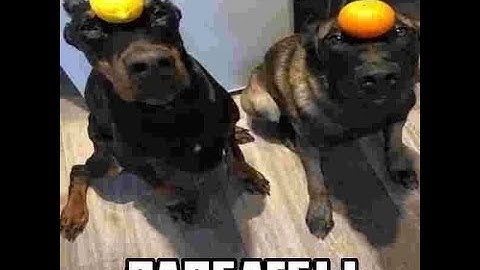 с друго сериал эпизо 3 "Сайлент Чанк"