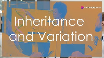 Understanding Genetics: The Blueprint of Life