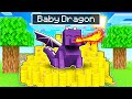Defending TREASURE as a BABY DRAGON in Minecraft!