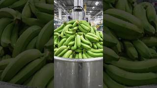Inside a Banana Chips Factory | From Green Bananas to Crispy Chips #food #farming#viral #viralvideo