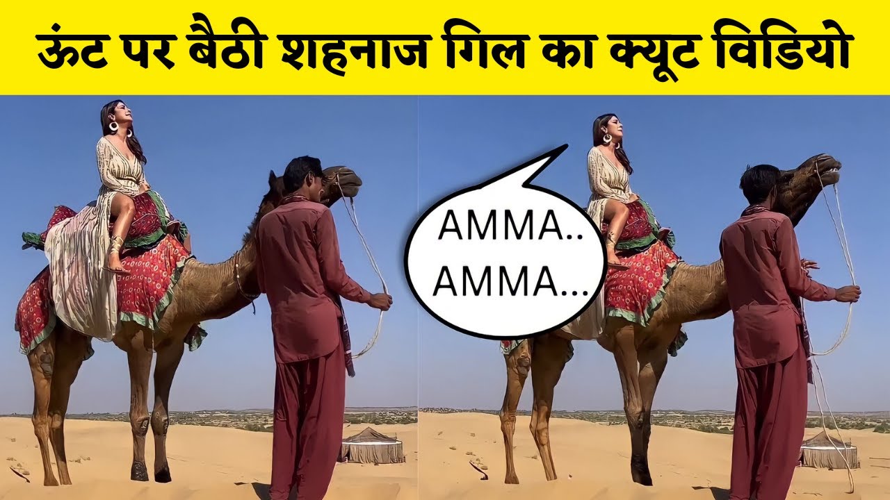 Shehnaaz Gill Scared While Riding on Camel 🐫 | Shehnaaz Gill Cute Video ...