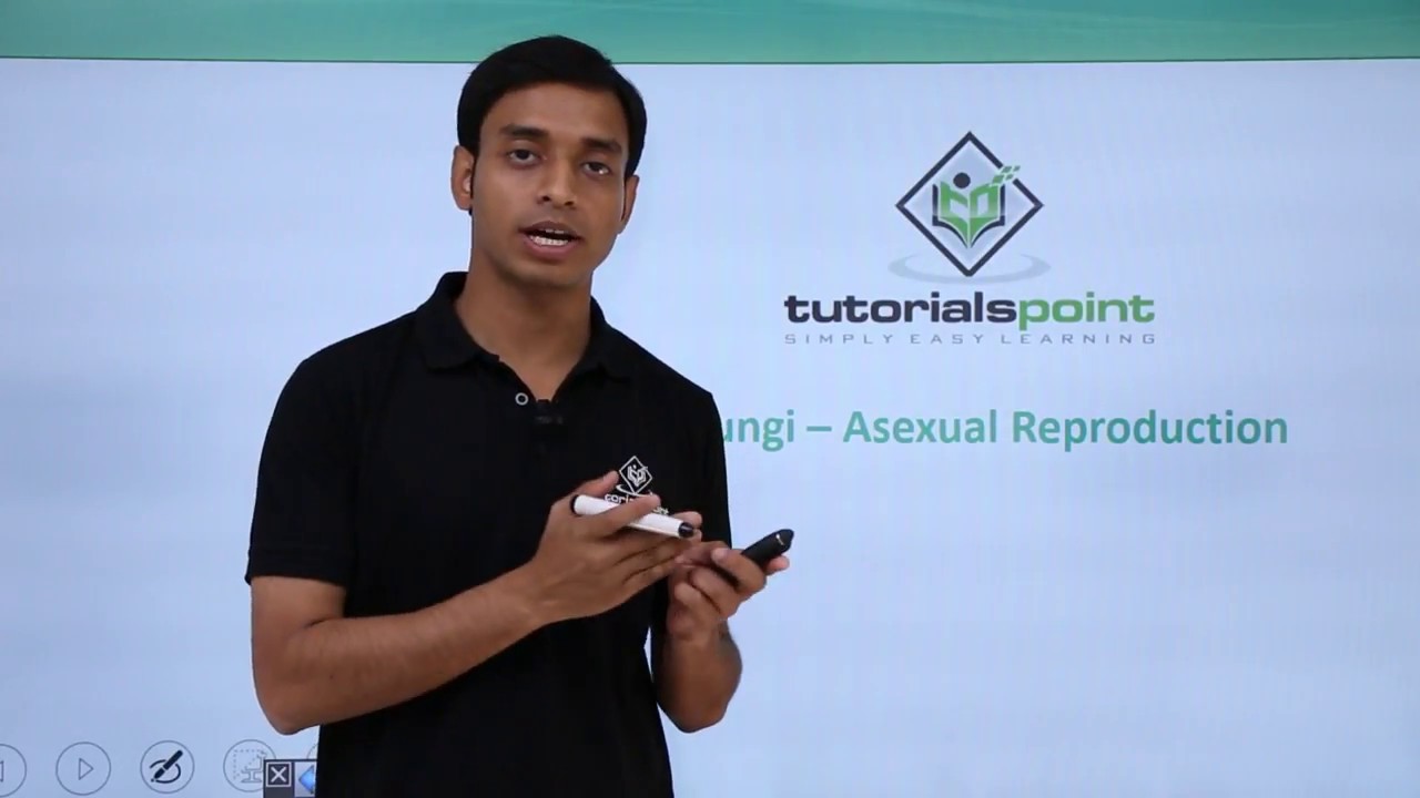 Class 11th – Fungi - Asexual Reproduction | Biological Classification | Tutorials Point