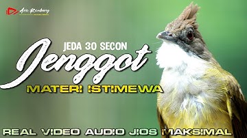MASTERAN CUCAK JENGGOT GACOR SUPER MEWAH DENGAN SUARA AIR DAN JEDA VIDEO