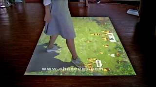 Interactive Floor - Chicken go home
