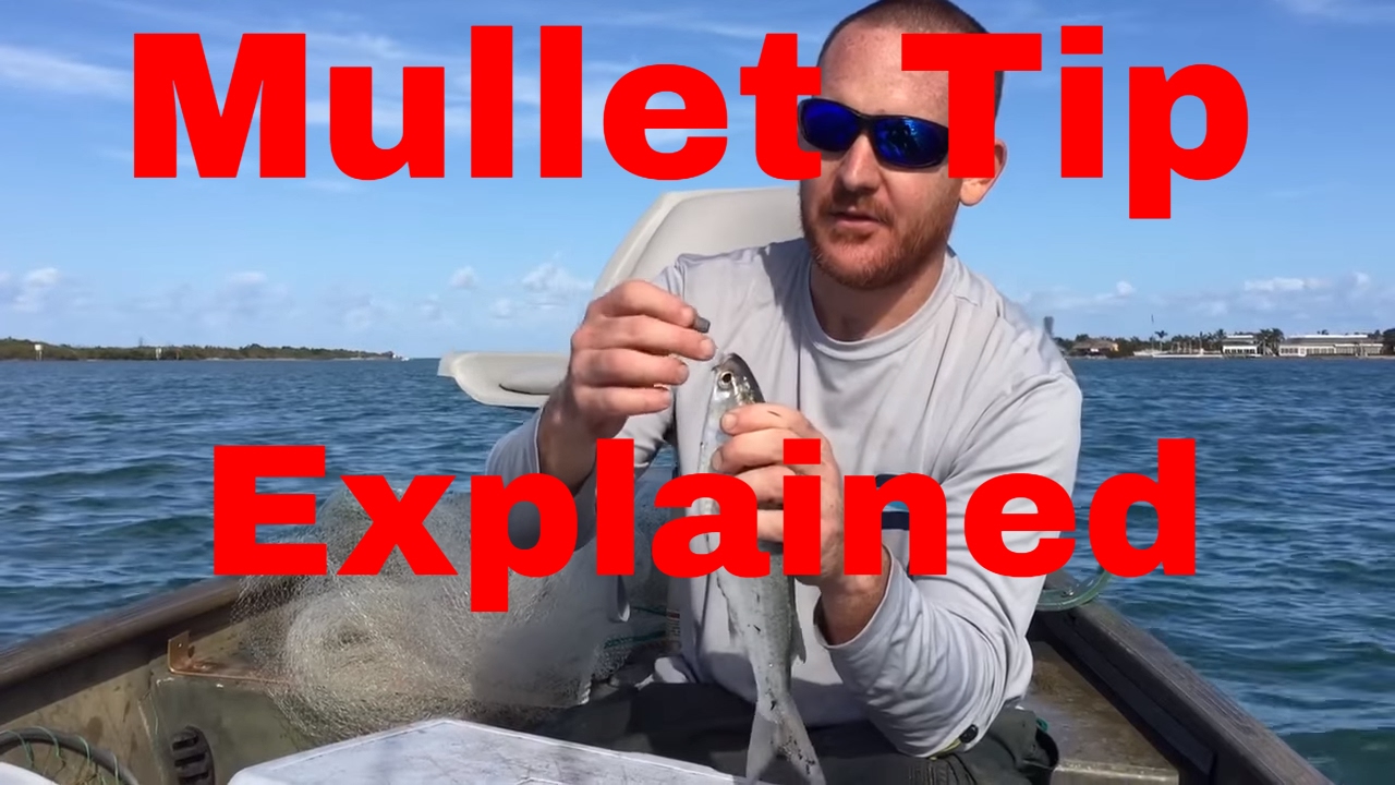  Mullet  SECRET  TIP EXPLAINED More YouTube