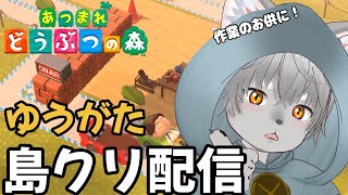 【あつまれどうぶつの森】夕活の作業用島クリエイトとか整地とかマイデザとかとか　～自分の島をレトロ遊園地にしたい～【雑談】#あつ森 #島クリエイト  #ゲーム実況 #vtuber