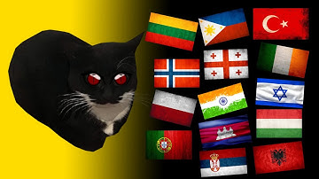 Maxwell the Cat  in different languages meme | Part 3