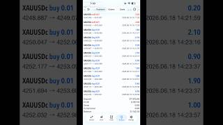 Auto TRADING BOT results 📊