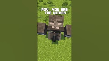 POV: You’re the Wither