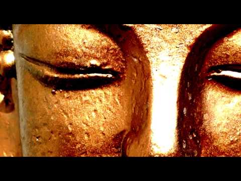 Vídeo: Com Es Fa L’amanida De Gambes Del Temple De Buda